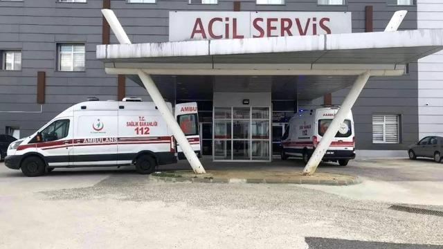 Arı saldırısına uğrayan yaşlı çift hastanelik oldu