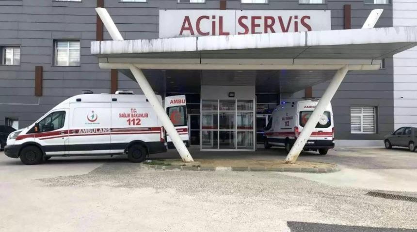 Arı saldırısına uğrayan yaşlı &ccedil;ift hastanelik oldu