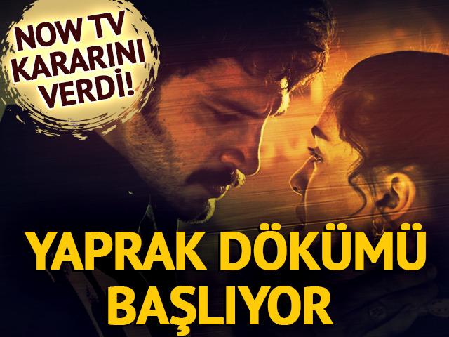 Halef K&ouml;klerin &Ccedil;ağrısı i&ccedil;in karar verildi! Yaprak d&ouml;k&uuml;m&uuml; başlıyor