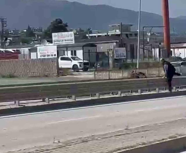 Orta ref&uuml;jden atlayan kurbanlık ke&ccedil;i sahibini geride bıraktı 1