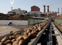 Rekabet'ten 5 şeker fabrikasının satışına onay