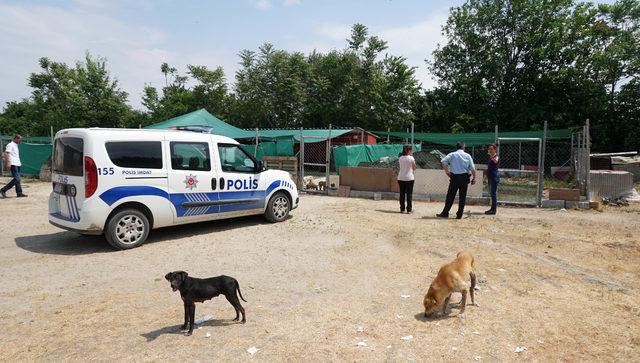 'Can evi'nde vahşet; Yavru köpekleri öldürüp, kulübelere zarar verdiler