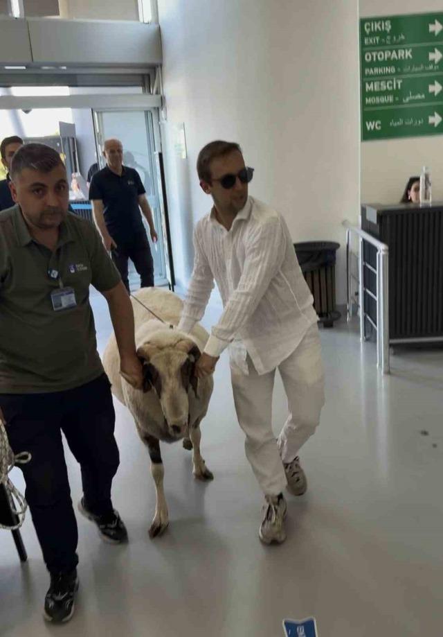 Bayramda keseceği koçla teleferik keyfi yaptı 1