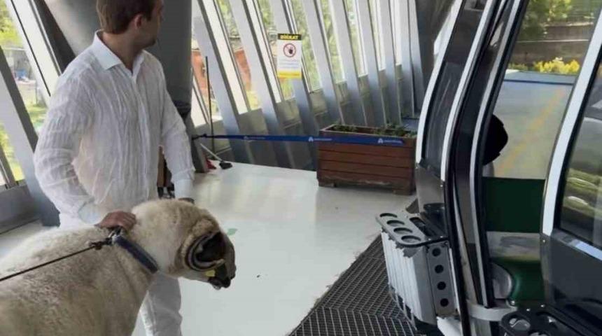 Bayramda keseceği ko&ccedil;la teleferik keyfi yaptı