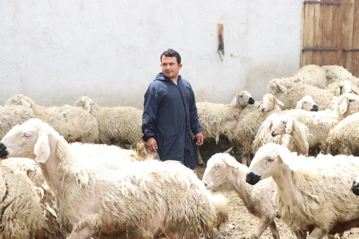 Hayvan sevgisiyle sağlığına kavuştu: Modern tarım ve hayvancılığa başladı 3