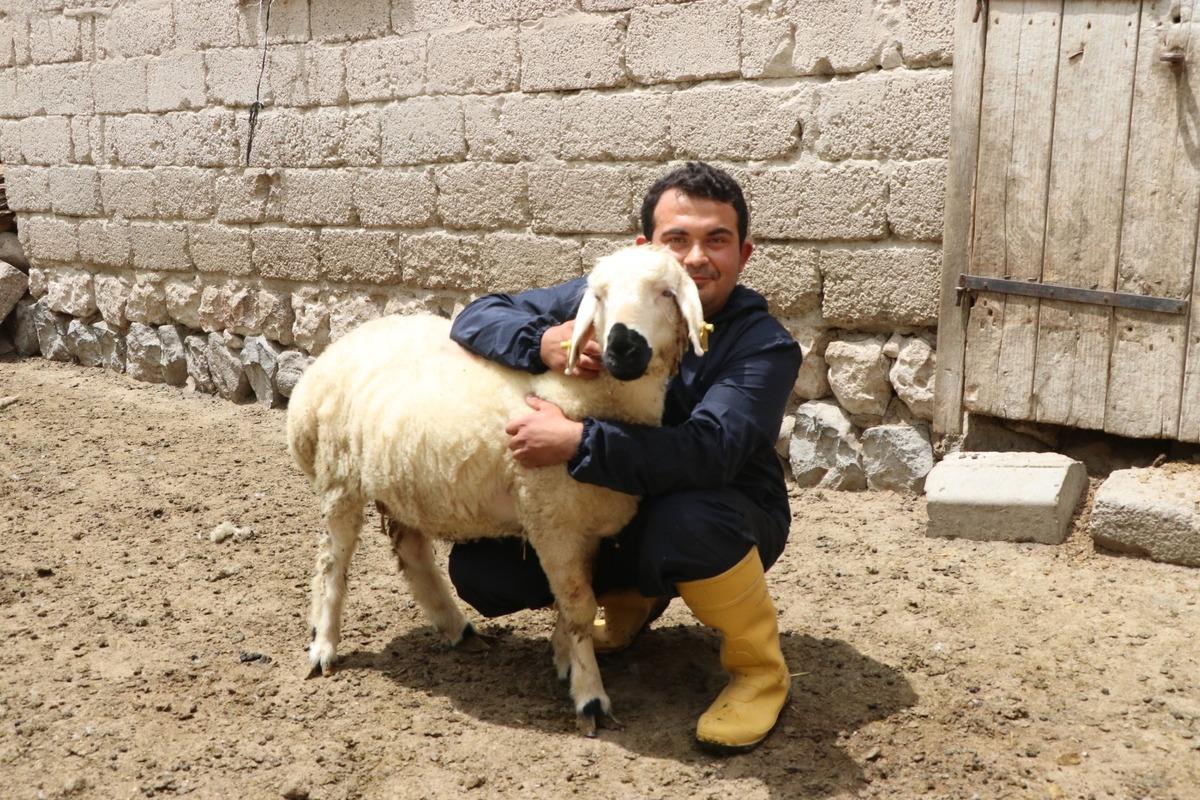 Hayvan sevgisiyle sağlığına kavuştu: Modern tarım ve hayvancılığa başladı 4