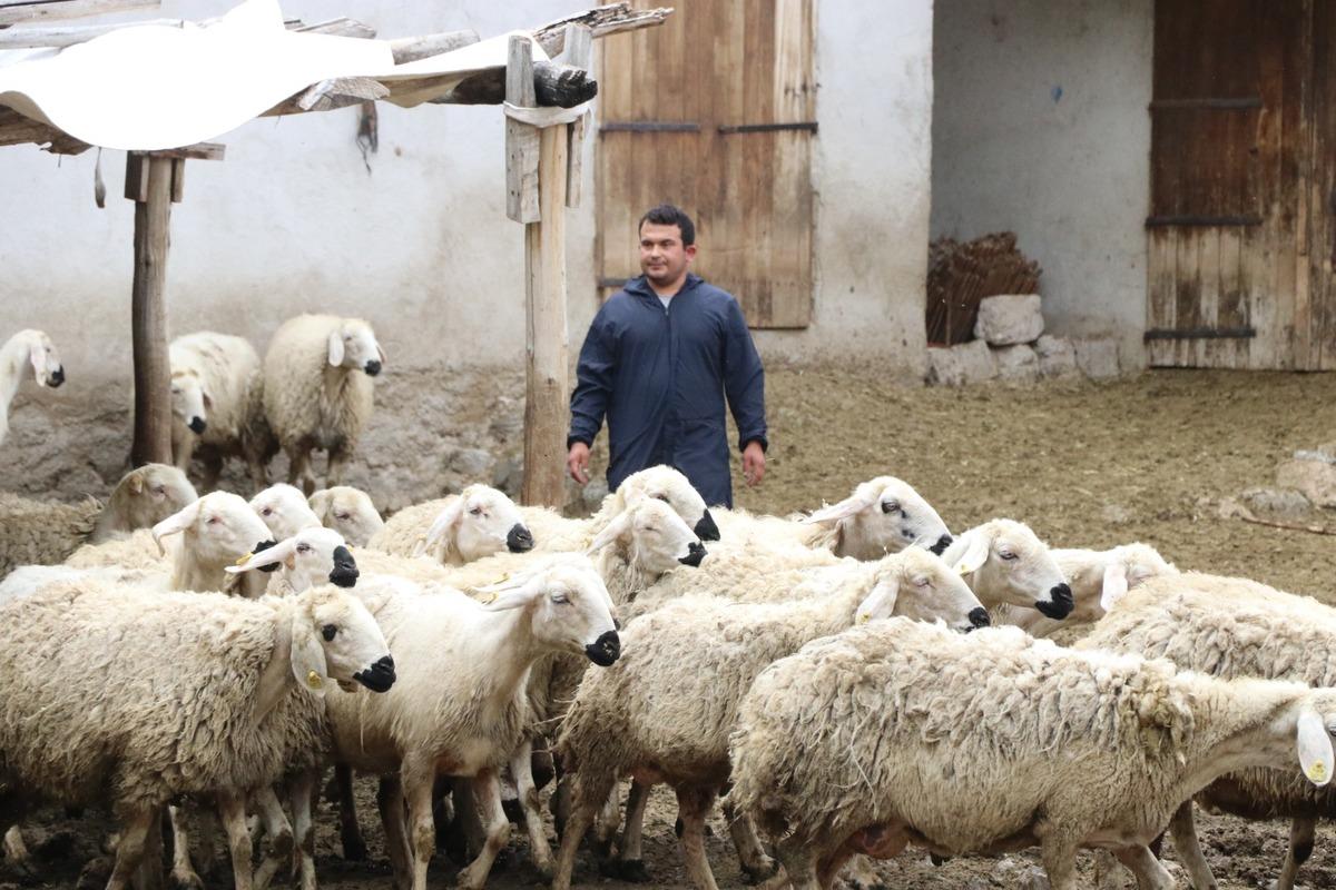 Hayvan sevgisiyle sağlığına kavuştu: Modern tarım ve hayvancılığa başladı 5