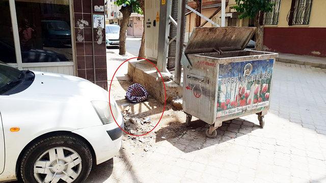 Çöp konteynerine atılan yavru kedileri, televizyon tamircisi kurtardı