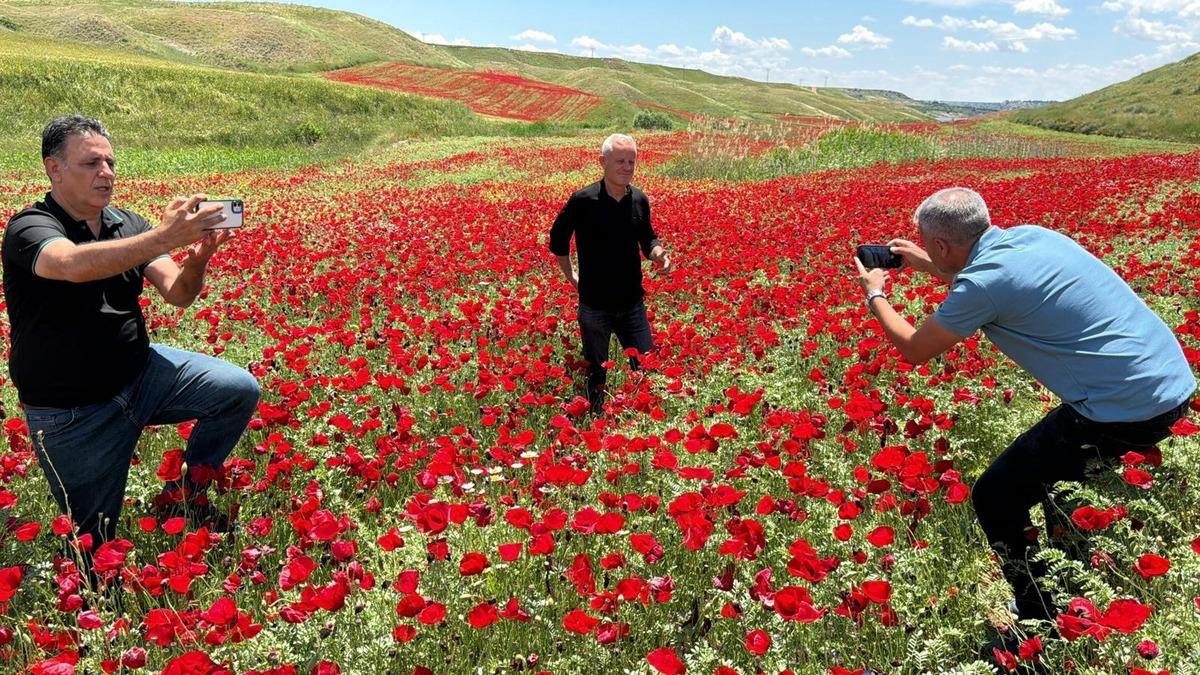 Görenler fotoğrafını çekmeden gitmiyor: Nohut tarlası kıpkırmızı oldu! 2