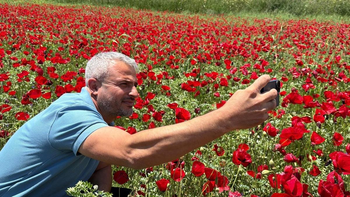 Görenler fotoğrafını çekmeden gitmiyor: Nohut tarlası kıpkırmızı oldu! 3