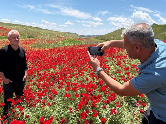 G&ouml;renler fotoğrafını &ccedil;ekmeden gitmiyor: Nohut tarlası kıpkırmızı oldu!
