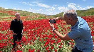Görenler fotoğrafını çekmeden gitmiyor: Nohut tarlası kıpkırmızı oldu!