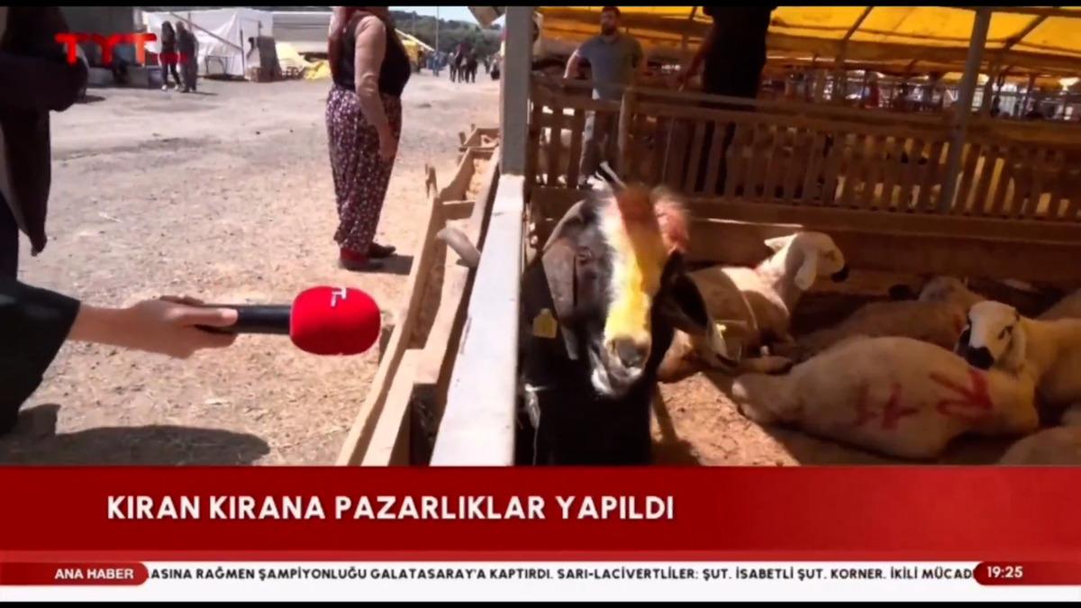 Osimhen Fenerbahçe yi duyunca sinir krizi geçirdi 1