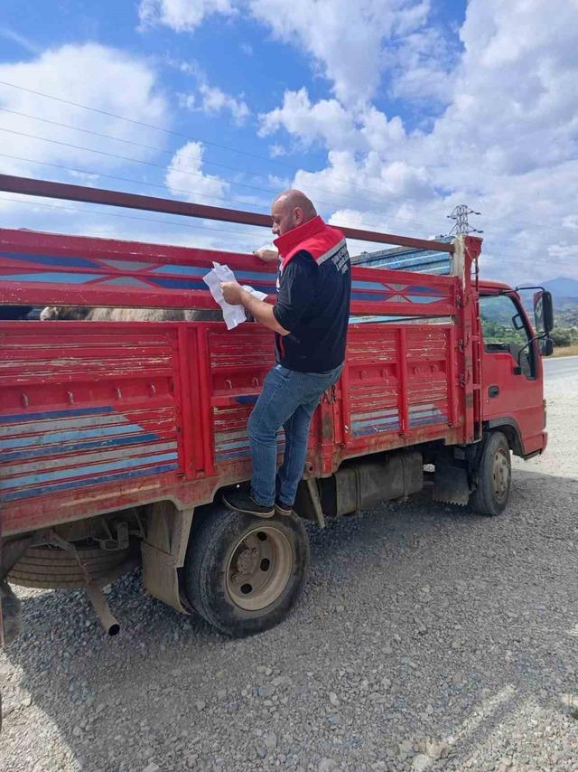 Köşk’te Kurban Bayramı boyunca veteriner denetimleri sürecek 1