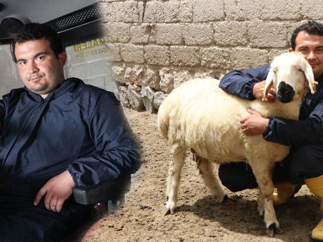 Hayvan sevgisiyle sağlığına kavuştu: Modern tarım ve hayvancılığa başladı