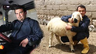 Hayvan sevgisiyle sağlığına kavuştu: Modern tarım ve hayvancılığa başladı