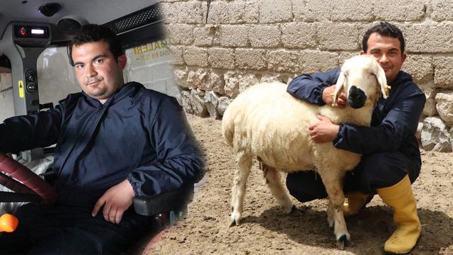 Hayvan sevgisiyle sağlığına kavuştu: Modern tarım ve hayvancılığa başladı