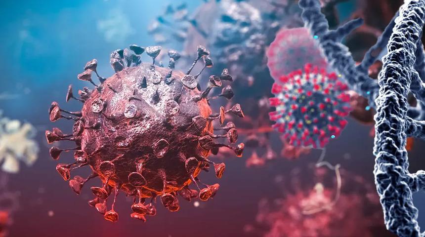 Uganda, ebola salgını nedeniyle Kongo Demokratik Cumhuriyeti sınırını kapattı!