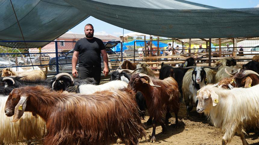 Kurbanlıklar alıcı buldu, yetiştirici bayrama mutlu girdi: 'Dedikleri fiyata verdik'