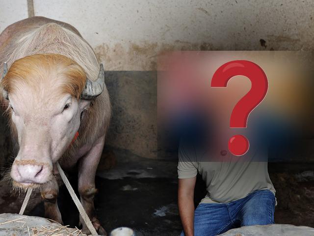 O isme benzerliğiyle dikkat &ccedil;ekiyor! 