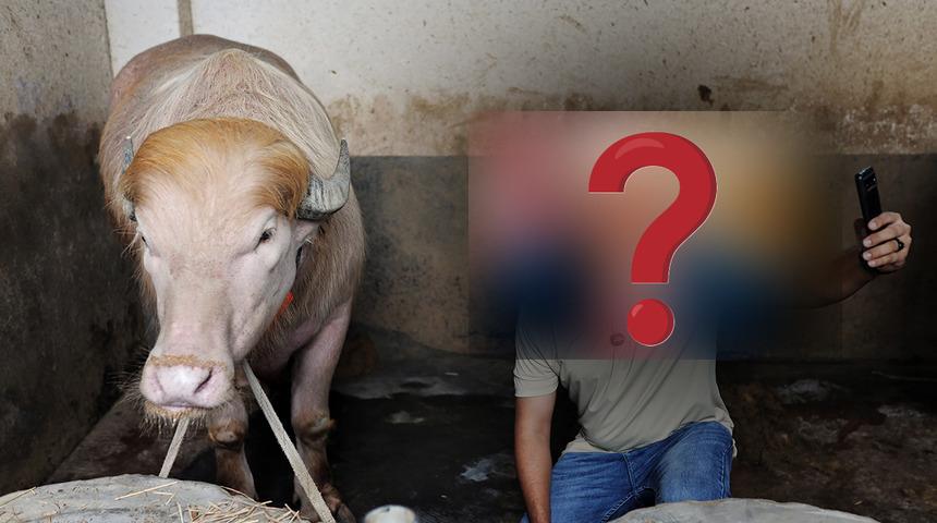 O isme benzerliğiyle dikkat &ccedil;ekiyor! Sosyal medyada g&uuml;ndem olan manda