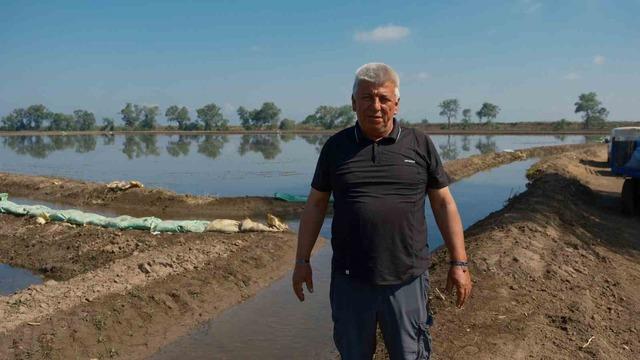 Dron ile çeltik ekimi 3