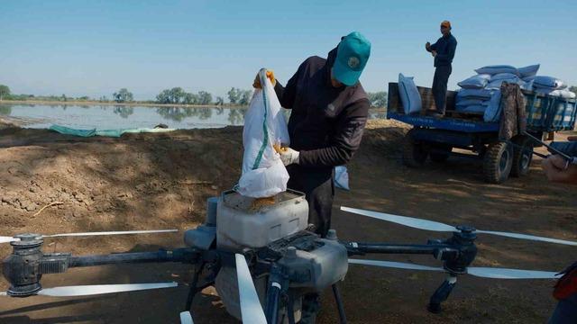 Dron ile çeltik ekimi 2