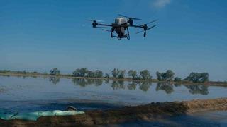 Dron ile çeltik ekimi