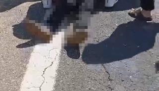 Şanlıurfa&rsquo;da kurbanlık y&uuml;kl&uuml; kamyonet devrildi: 1 &ouml;l&uuml;, 1 yaralı