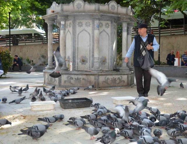 Bu bayramda eşini dostunu bıraktı, beslediği kuşlara koştu 2