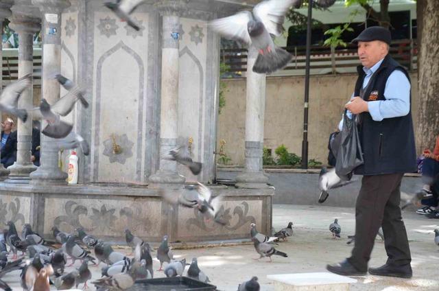 Bu bayramda eşini dostunu bıraktı, beslediği kuşlara koştu 1