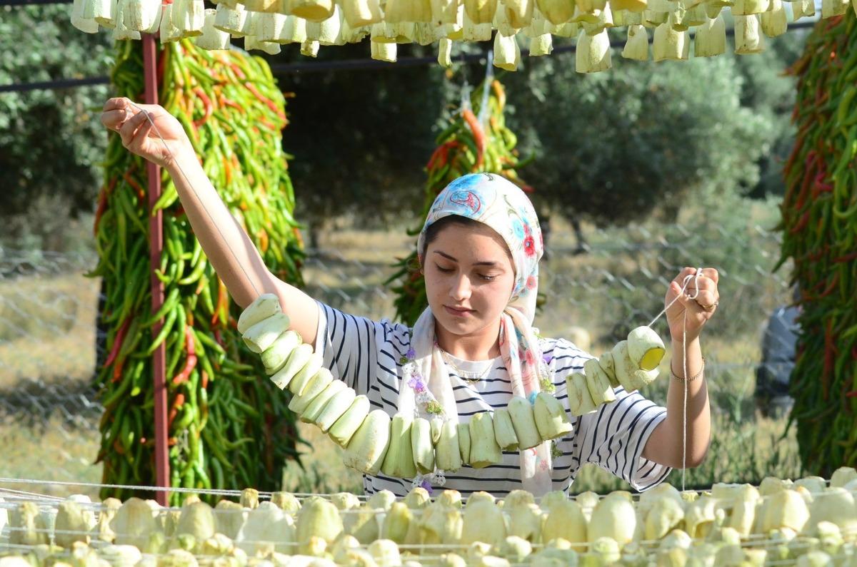 Mahalle bacasız fabrikaya dönüştü: Gelir kapısı oldu 3