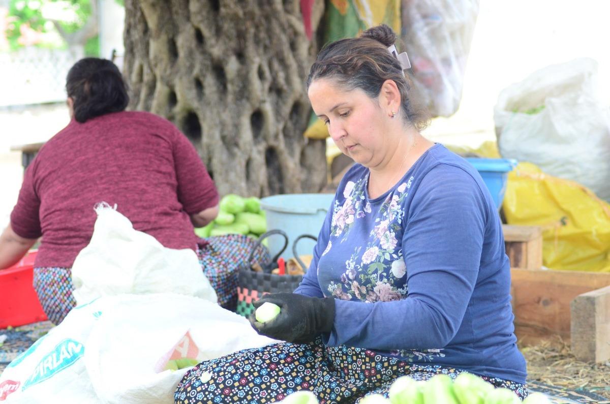 Mahalle bacasız fabrikaya dönüştü: Gelir kapısı oldu 5