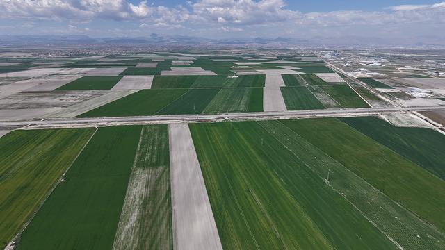 Cumhuriyet tarihinde en yüksek rekolte bakın nerede çıktı!