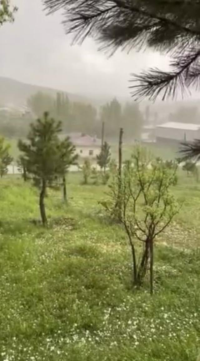 Sivas’ta fındık büyüklüğünde dolu yağdı, ağaçlar çiçek döktü 1