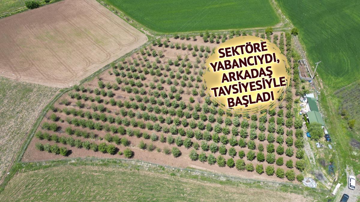 Eski futbolcu hobi olarak başladı, 11 dekar arazide üretiyor