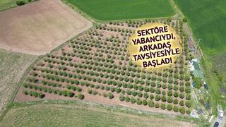 Eski futbolcu hobi olarak başladı, 11 dekar arazide üretiyor
