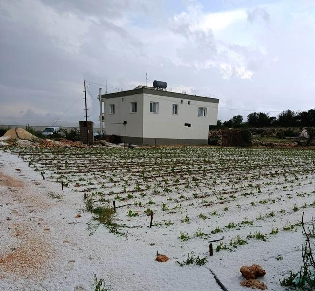 Mersin’de dolu, sebze tarlaları ve meyve bahçelerine zarar verdi 3