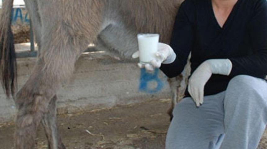 Anne s&uuml;t&uuml; değerlerine en yakın gıda! Bir bardak i&ccedil;ince bakın neler oluyor