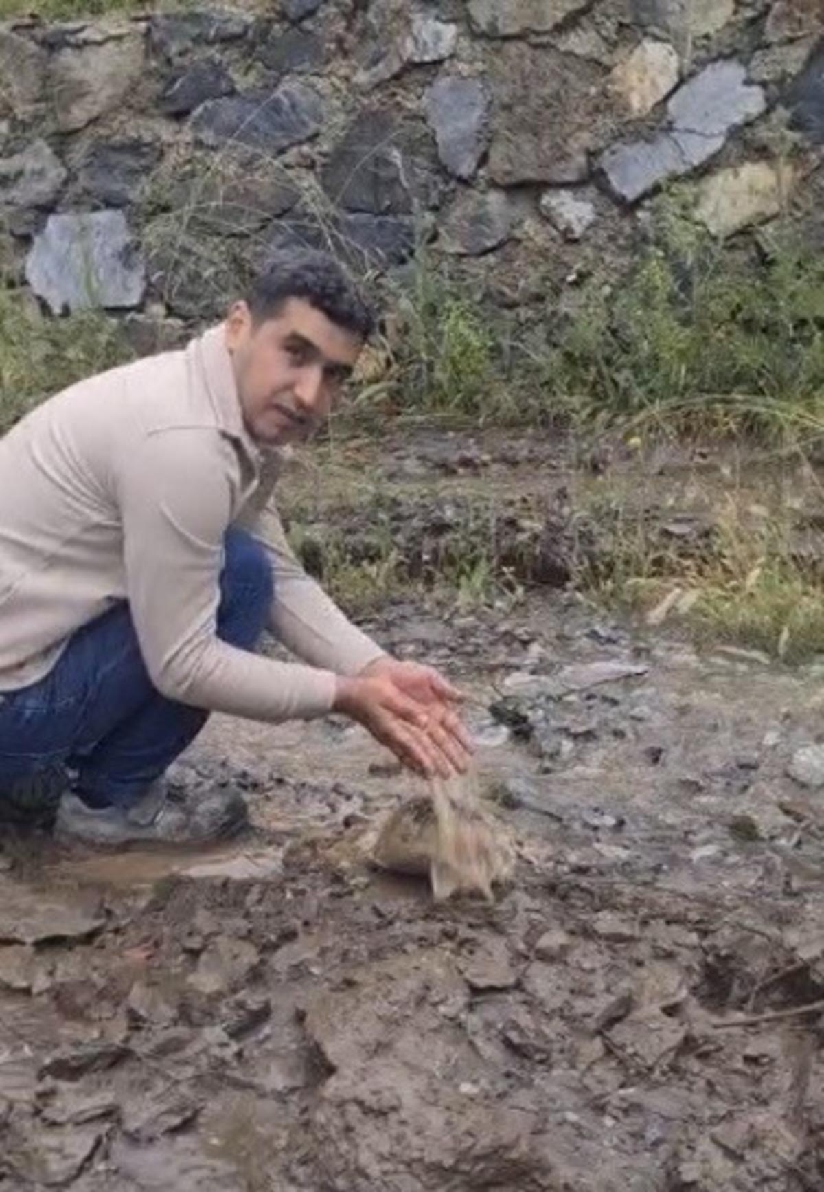 Dere yatağında mahsur kalan köpek ile toprak altındaki kaplumbağa kurtarıldı 1