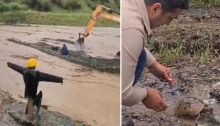 Dere yatağında mahsur kalan k&ouml;pek ile toprak altındaki kaplumbağa kurtarıldı