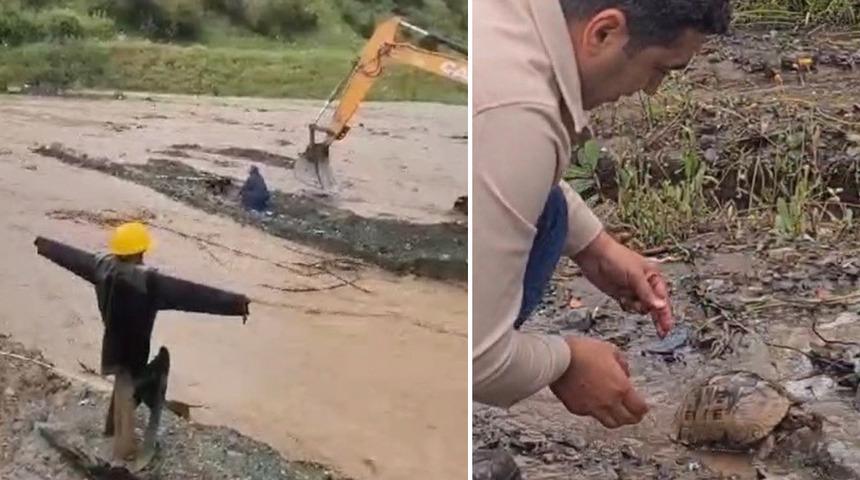 Dere yatağında mahsur kalan k&ouml;pek ile toprak altındaki kaplumbağa kurtarıldı