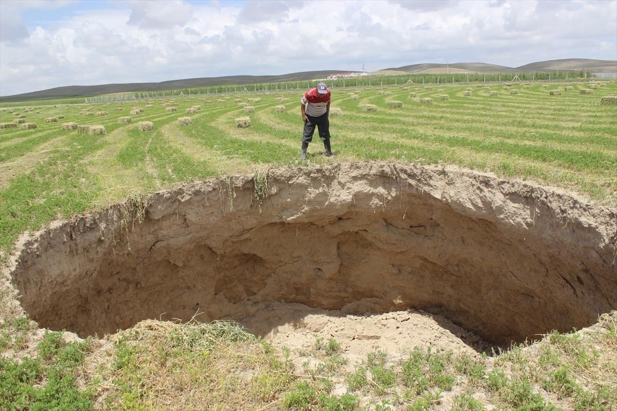 Yonca tarlasında bir anda 10 metrelik obruk oluştu