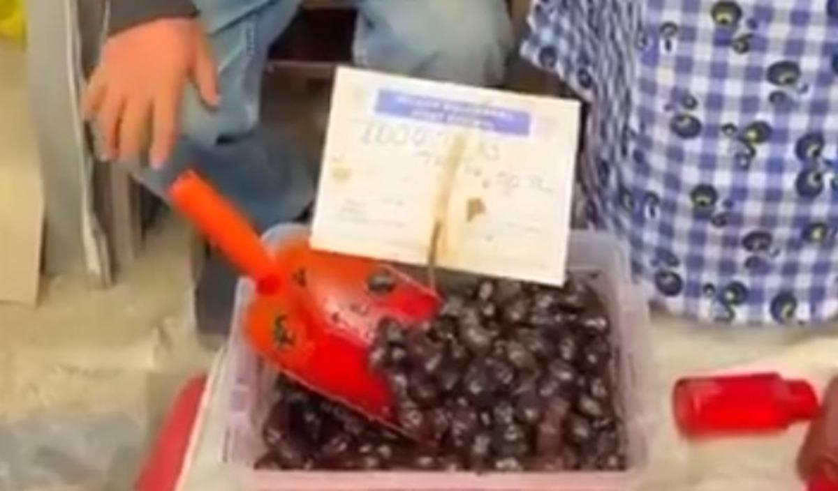 Zeytinin tanesi 50 TL: Bakanlık harekete geçti, para cezası geldi 2
