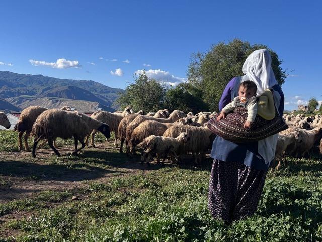 Şavakların yayla mücadelesi: Tulum peynirinin arkasındaki emek 4