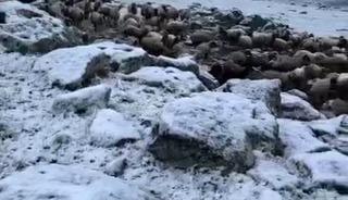 Mayıs sonunda Kars&rsquo;a kış geri d&ouml;nd&uuml;, eksi 5 derecede kar s&uuml;rprizi