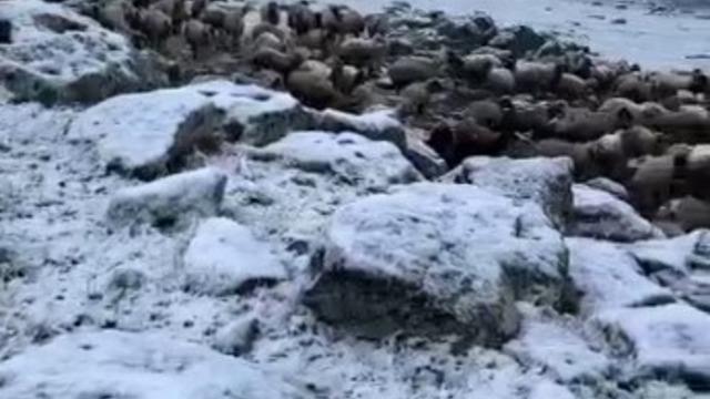 Mayıs sonunda Kars’a kış geri döndü, eksi 5 derecede kar sürprizi