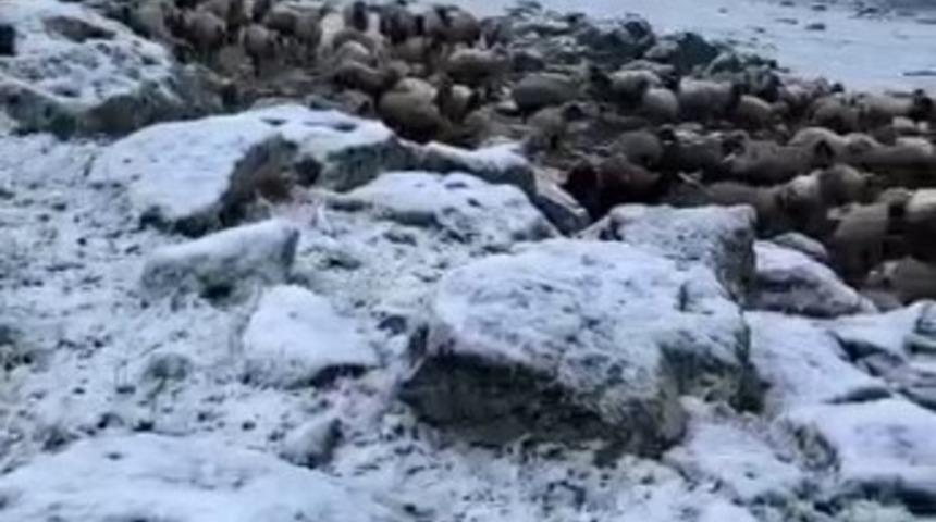 Mayıs sonunda Kars&rsquo;a kış geri d&ouml;nd&uuml;, eksi 5 derecede kar s&uuml;rprizi