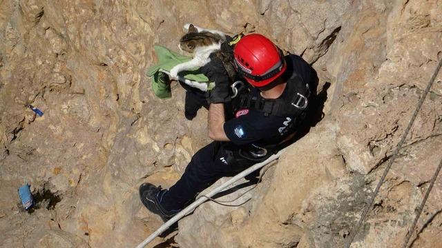 Falezlerde mahsur kalan kedi, itfaiyenin 1 saatlik çalışmasıyla kurtarıldı