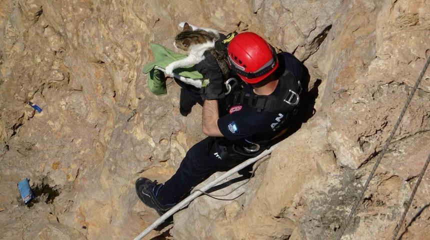 Falezlerde mahsur kalan kedi, itfaiyenin 1 saatlik &ccedil;alışmasıyla kurtarıldı